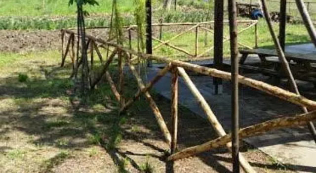Студия Dal Biondo