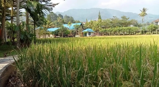 Suite Executive Aries Biru Hotel & Villa