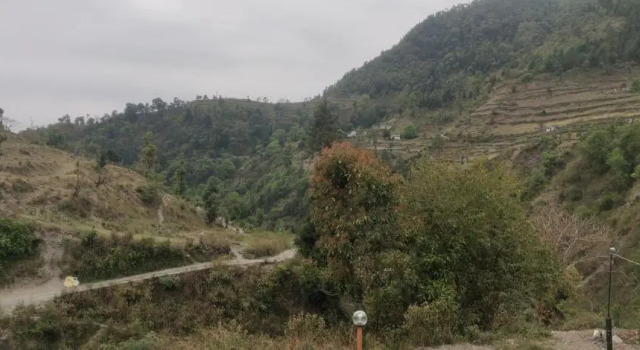 Люкс Deluxe The Malang valley