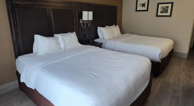 Четырёхместный номер Standard Comfort Inn Trenton