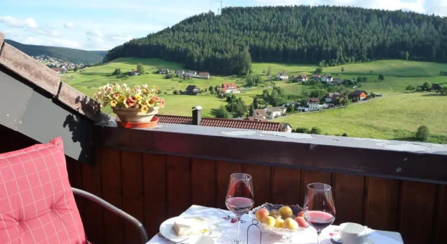 Апартаменты Schwarzwald-Ferienwohnungen Begert