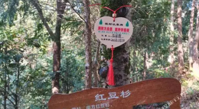 Люкс Deluxe Nanshoufeng Yangshenggu