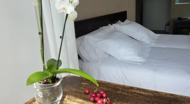 Двухместный номер Standard Hotel San Miguel