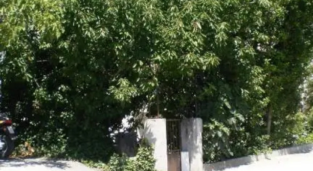 Apartments Prižmić, Varaa Huoneisto Hotellit Strožanac pysäköinnillä, Pysäköinti