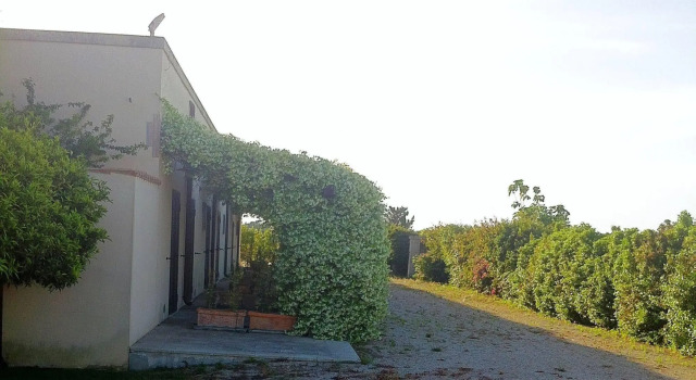 Masseria Li Campi, Rezerwuj Pensjonat Hotele w Lecce ze śniadaniem, Śniadanie