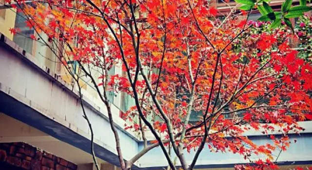 Sweetome Resorts (Qingcheng Shanju), Boek Hotel Hotels in Chengdu met parkeren, Parkeren
