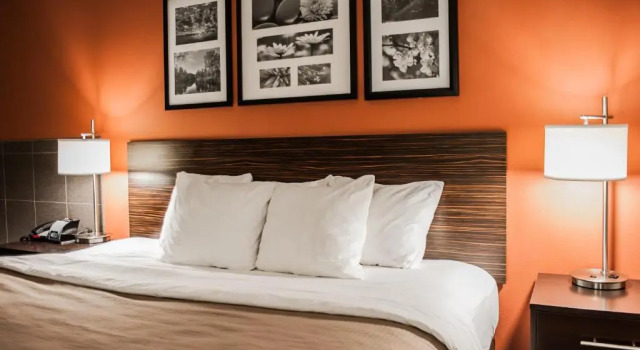 Номер Standard Sleep Inn & Suites Fort Campbell
