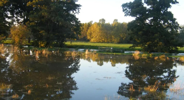 Коттедж House on the Brooks Self catering Holiday let South Downs West Sussex Sleeps 14