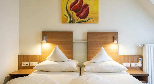 Двухместный номер Business Hotel Hagnauer Hof mit klimatisierten Zimmern