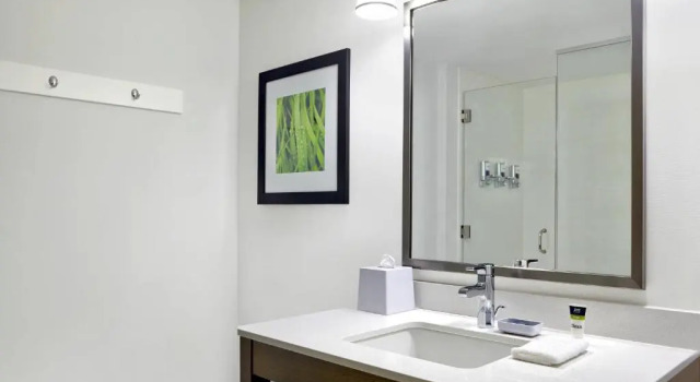 Четырёхместный номер Standard Four Points by Sheraton Moncton