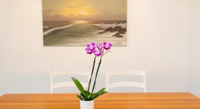SEA Haven 113 [2/2.5] Free Activities! & Oceanfront Wifi Pool, Rezerwuj Hotel Hotele w Saint Augustine Area z parkingiem, Parking