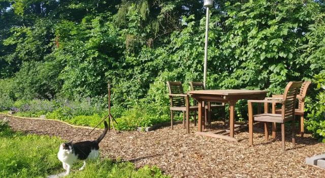 B&B Oostrik, Prenota Bed & breakfast Leende De Kempen