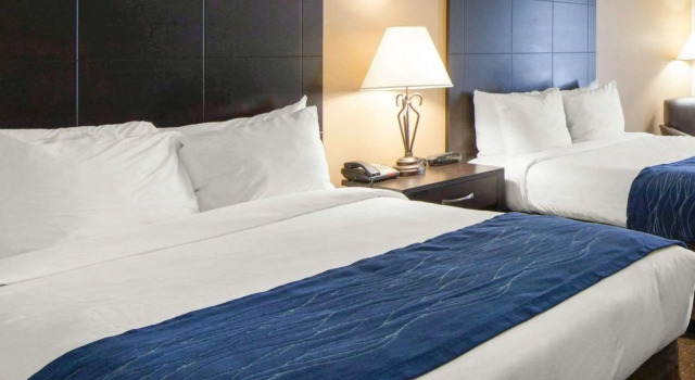 Четырёхместный номер Standard Comfort Inn Oak Ridge - Knoxville