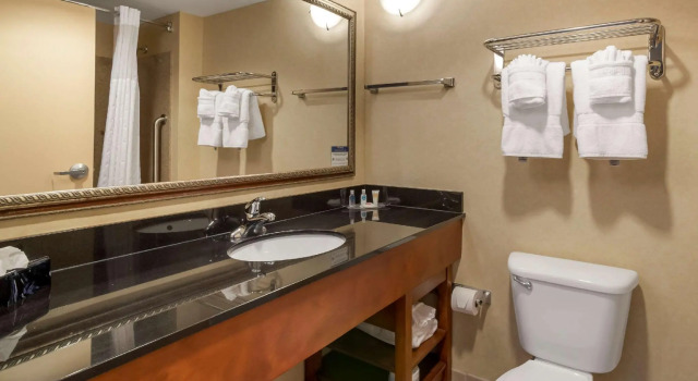 Люкс c 1 комнатой Comfort Suites Fredericksburg North