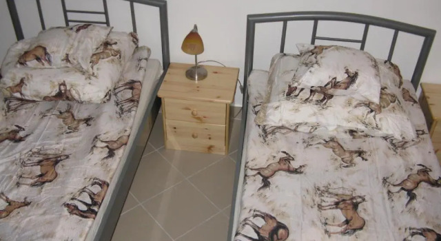 Двухместный номер Standard с красивым видом из окна Karpati Motel