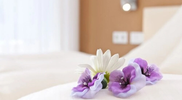 Одноместный номер Standard с балконом Engelhard Das Landhotel Garni