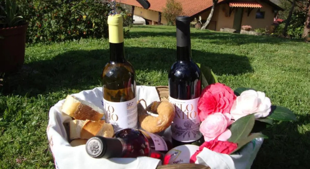 Коттедж Quinta de Carcavelos Agroturismo e Enoturismo