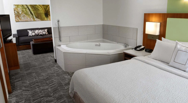SpringHill Suites by Marriott Sioux Falls, Забронировать Отель Отели Сиу-Фолс 3 звезды, 3*