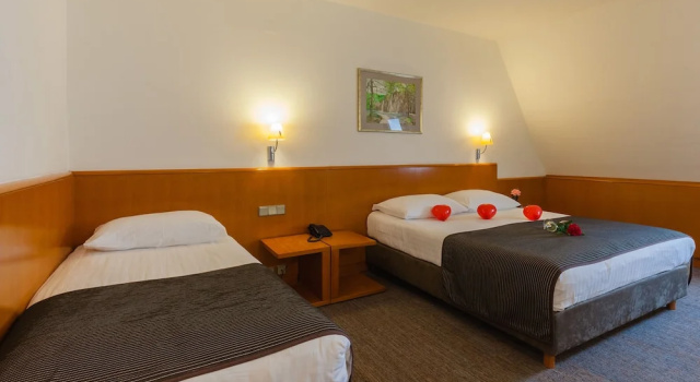 Двухместный номер Standard с видом на парк Grabovac Hotel