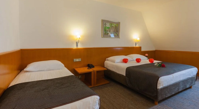 Номер Standard Grabovac Hotel