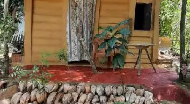 Seven Peacock Home Residence