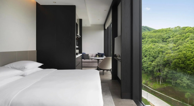 Двухместная Studio Residence Park Hyatt Niseko Hanazono