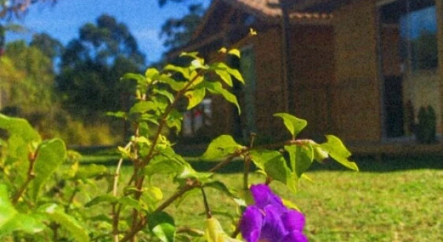 Chalé das Bromélias - Praia do Rosa-SC