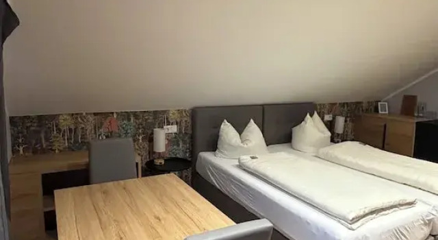 Четырёхместный номер Superior Hotel Senator