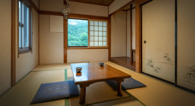 Номер Standard Tamagawa Onsen