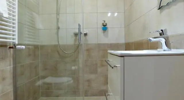 Трёхместный номер Standard Hotel am Park