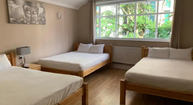 Полулюкс New Union ADULTS ONLY