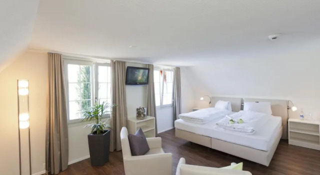 Двухместный номер Standard с видом на озеро Seehotel Baumgarten