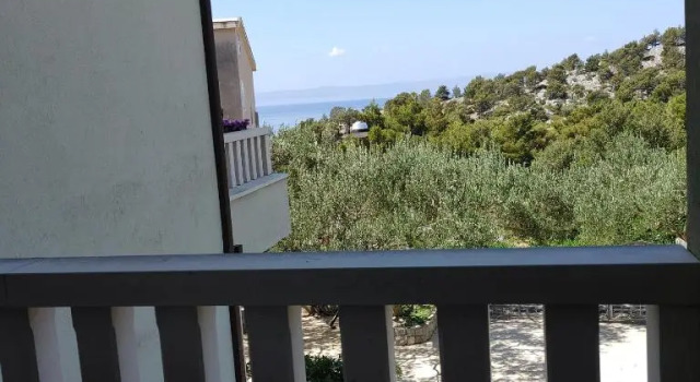 Студия Deluxe Apartments Villa Čizmić