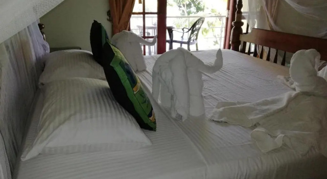 Номер Deluxe Mahi Villa