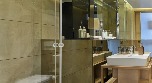 Номер Economy Chandolin Boutique Hotel