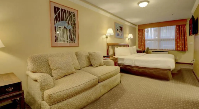 Номер Standard Senator Inn & Spa