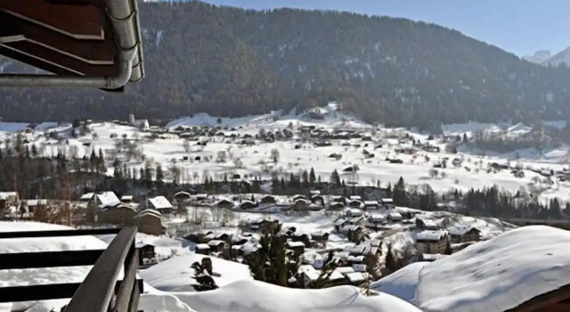 Chalet 2 camere Maxima