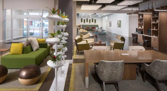 Люкс Standard c 1 комнатой Hotel Indigo Gainesville-Celebration Pointe by IHG