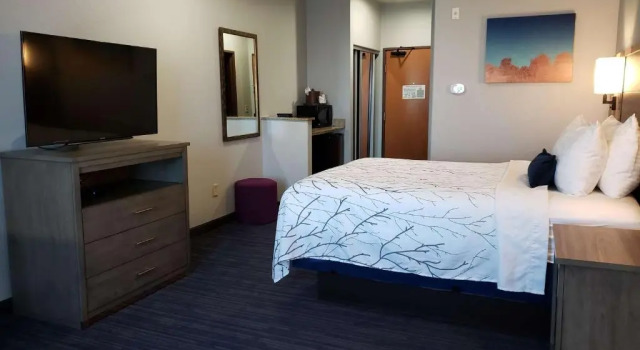 Номер Standard Best Western Plus San Antonio East Inn & Suites