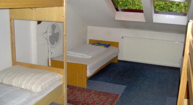 Olive Hostel