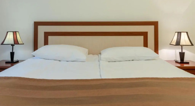 Двухместный номер Standard Ariana Family Hotel