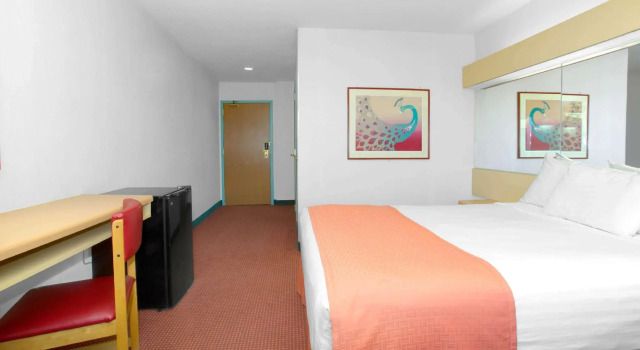 Двухместный номер Standard Microtel Inn & Suites by Wyndham Gallup - PET FRIENDLY