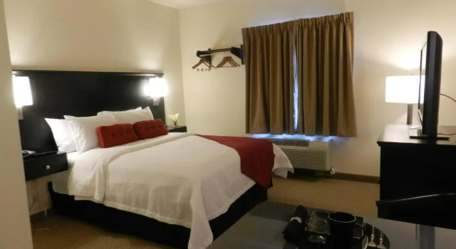 Номер Standard Black Gold Suites Tioga