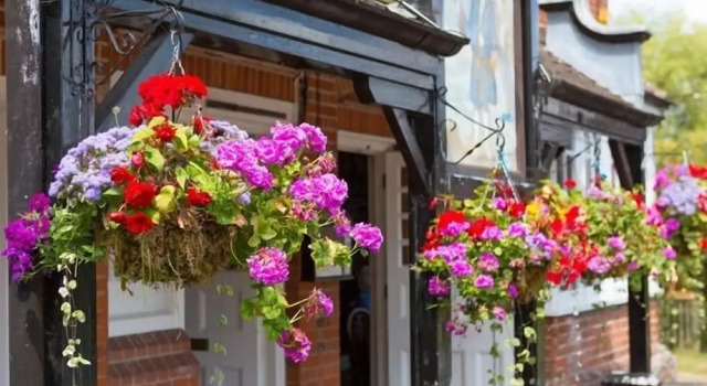 The Trusty Servant Inn, Buchen Sie Hotel Lyndhurst New Forest