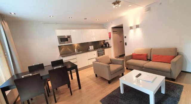 Апартаменты c 1 комнатой с балконом Levi Suites Levi Gold