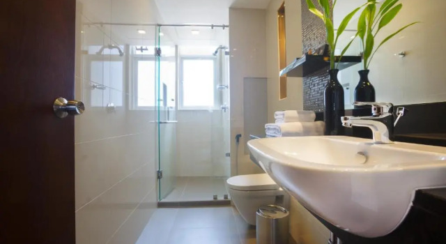 Двухместный номер Deluxe Renuka City Hotel
