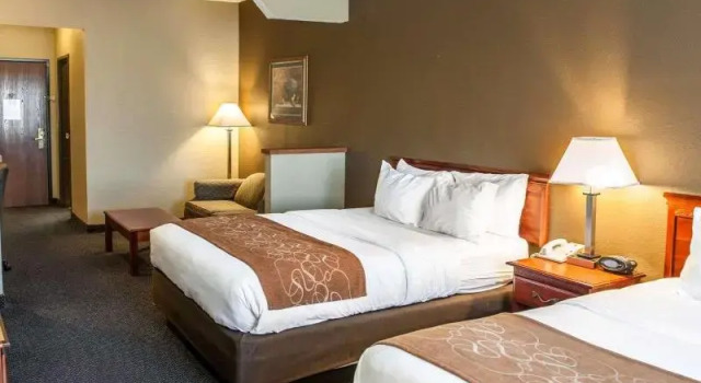 Одноместный номер Standard Comfort Suites Auburn near I-69