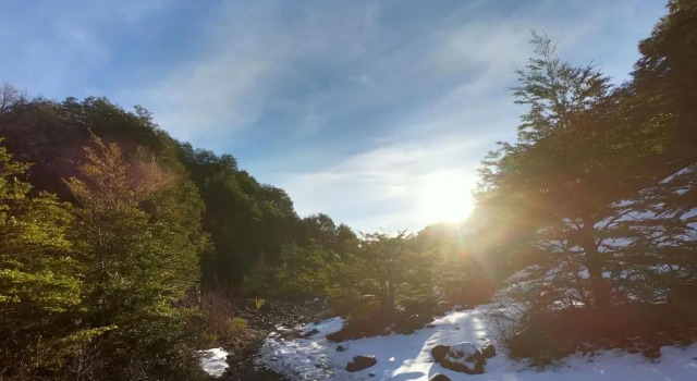 Cabaña 2 dormitorios Chillán House