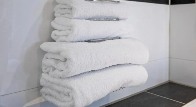 Номер Deluxe Landgoed Hotel Tatenhove Texel