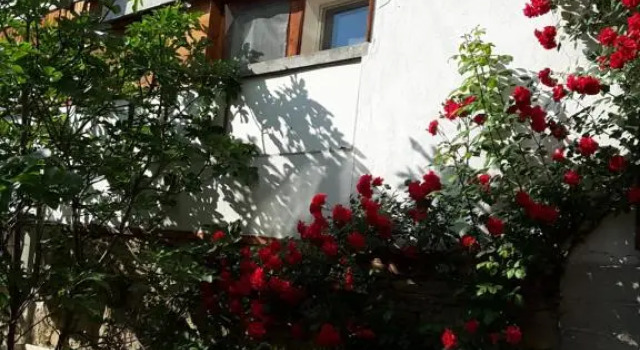 Diana Guesthouse
